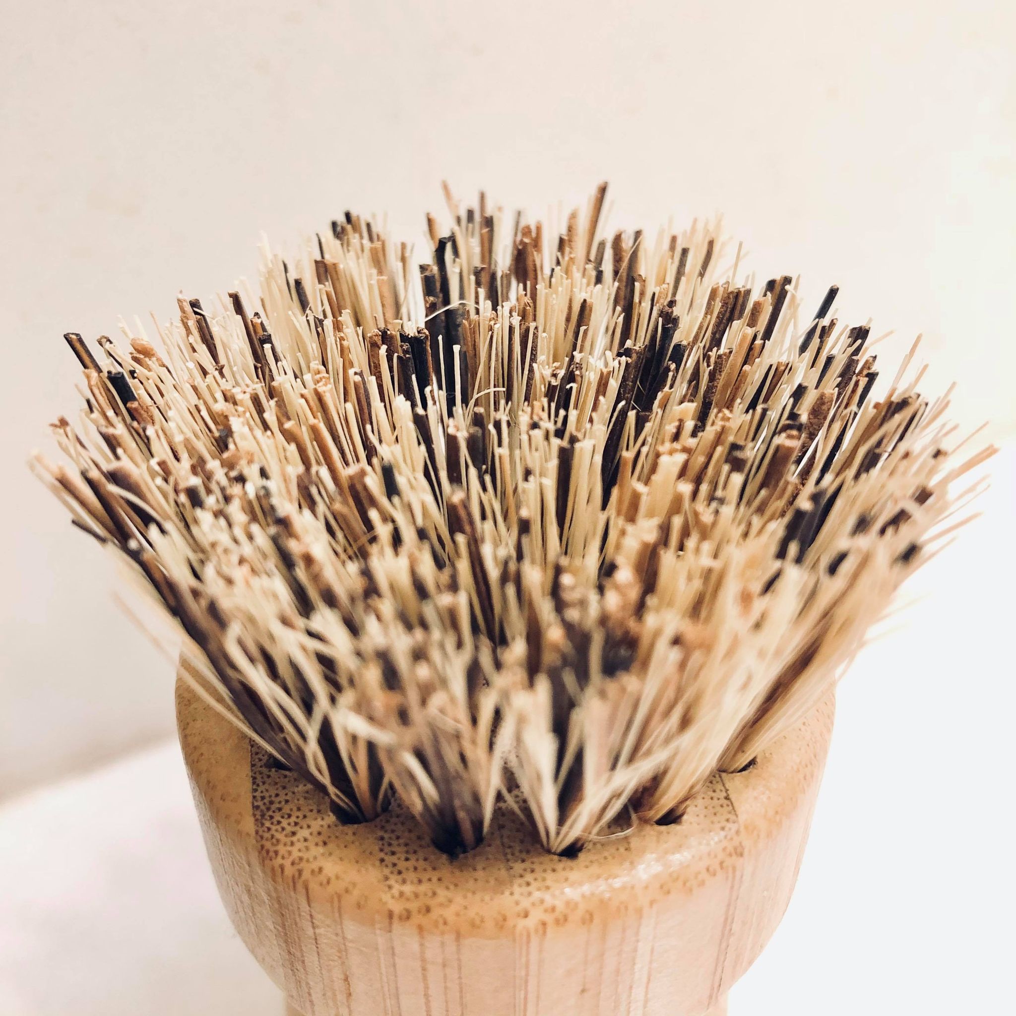 Bamboo Knob Scrubber - Coconut