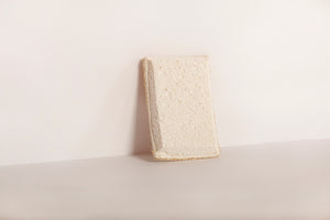 Wood Cellulose Sponge
